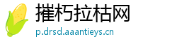 摧朽拉枯网
